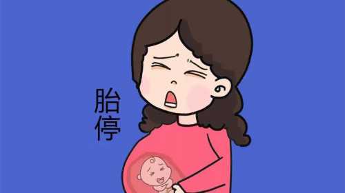 温州借卵合法 2023温州医科大学附属第一医院试管婴儿成功率一览，附2023成功率