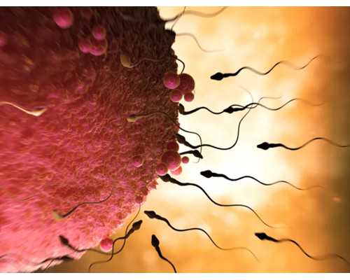 长沙供卵想要男孩,长沙哪个医院试管成功率高，内附试管成功率排名