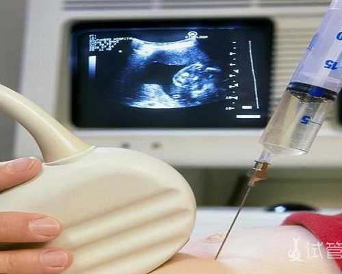 小松鼠的尾巴教案(松鼠妈妈摆饼干教案小班)