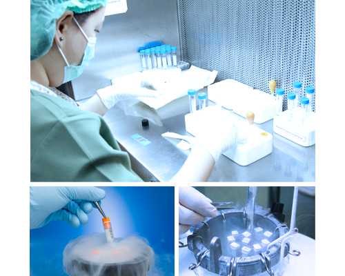 国内供卵试管_借卵试管,试管为什么要做二超,试管二超检查什么的