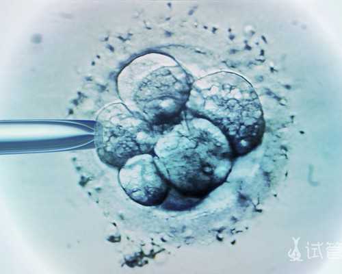 三代试管好吗_三代试管花费,安阳试管婴儿,安阳市试管婴儿医院