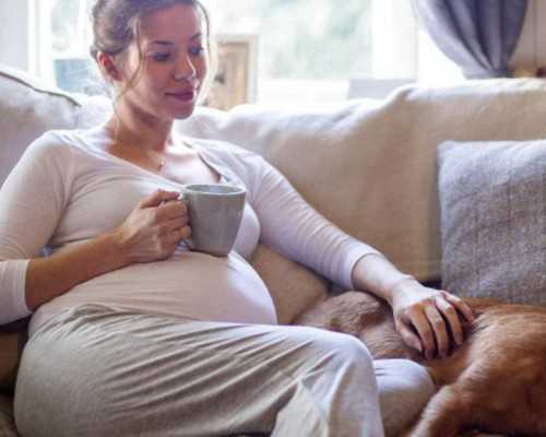 长沙坤和供卵助孕机构,长沙助孕机构-长沙三代试管医院