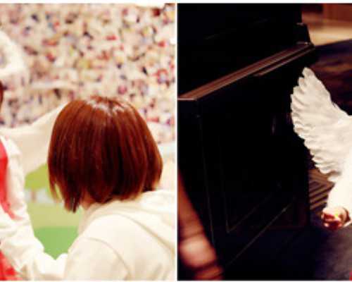 百科试管捐卵_试管三代多吗,试管什么是优胚,试管优质胚胎是什么意思