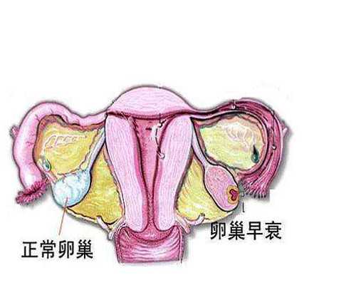 长沙助孕医院咨询,2025年长沙哪家医院可以做供卵试管婴儿？长沙去哪做供卵试