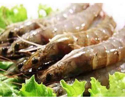 三代试管选y_三代试管胎停,[三代试管价格]安阳三代试管有几种