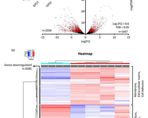 长沙代孕卵子公司,湖南长沙做三代试管婴儿的医院有哪些？