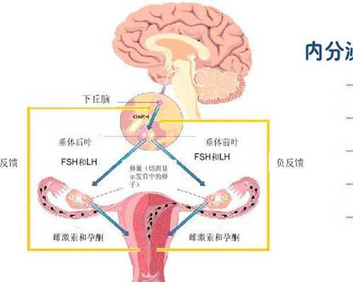 在成都做试管婴儿的全部费用大概是多少？