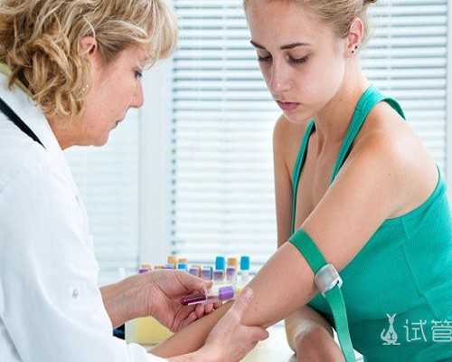 向日葵的昼夜行为习惯