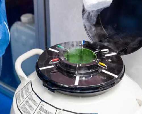 人工试管费用_西囡试管费用,，试管汕头汕头做一代试管附一好还是中心医院好