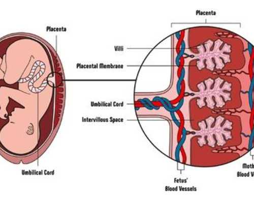 长沙试管代怀价钱,长沙同性女生试管婴儿_正规助孕公司-试管促排雌二醇8400-试