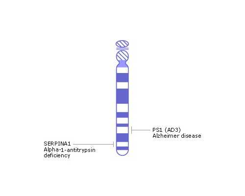 亲嘴了会不会怀孕初期