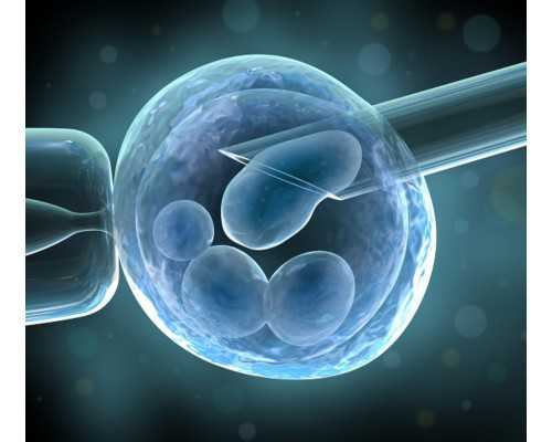 长沙代怀孕价格表,长沙中信湘雅医院三代供卵试管婴儿大概多少钱？附医院详