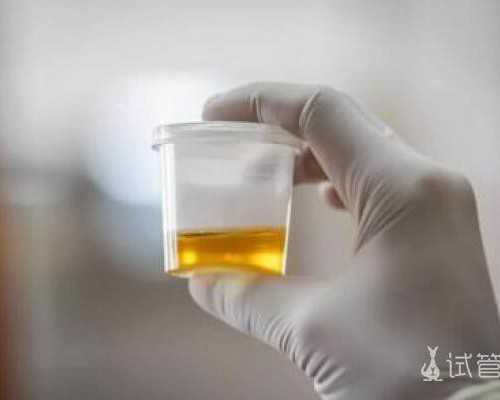 长沙找代怀女人,试管婴儿费用是多少，真实三甲医院经验分享_上海哪有可以做