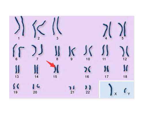 长沙代生的费用,长沙中信湘雅医院做第三代试管婴儿费用？_孩子十四岁,子宫偏