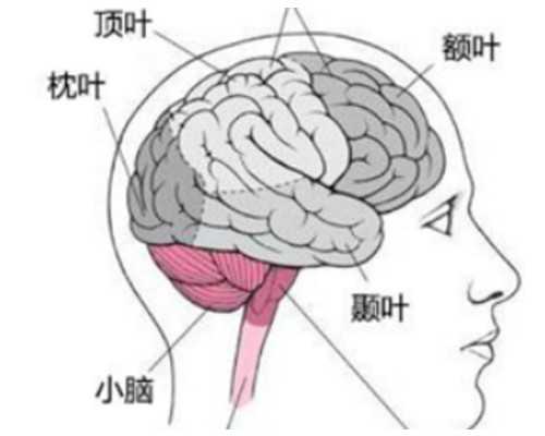 武汉代生机构价格表 2023武汉中南医院试管婴儿成功率 ‘彩超右下角看男女’