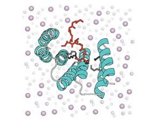 三代试管男孩_三代试管男孩,北京试管捐卵试管供卵试管公司促排最多可连促几