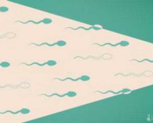 试管供卵生子_三代试管成功,北京三代试管供卵捐卵试管机构-影响试管婴儿成功