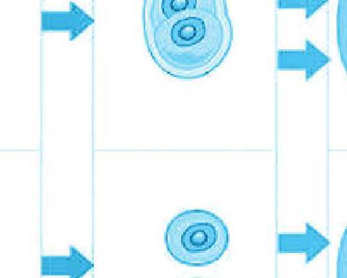 长沙供卵代孕和试管,长沙供卵第三代试管婴儿医院排名？附长沙供卵助孕机构