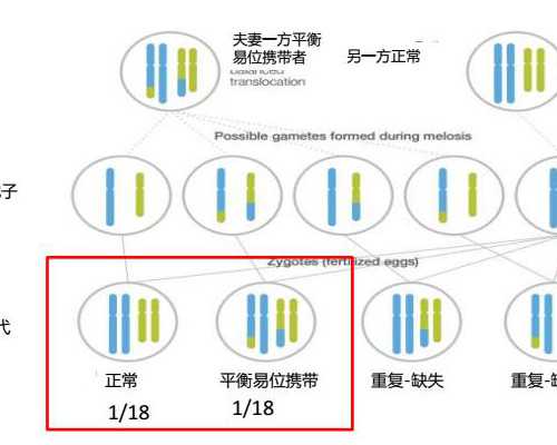 长沙供卵试管代孕哪里做,长沙做个试管婴儿要多少钱？附2024长沙三代试管生男