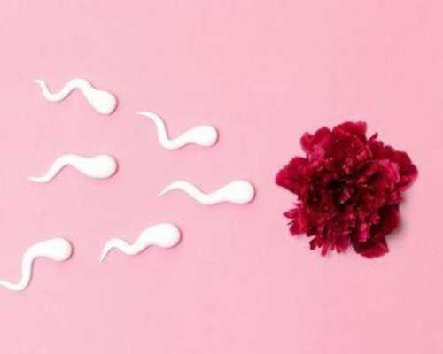 长沙供卵公司,长沙医院三代试管供卵成功率