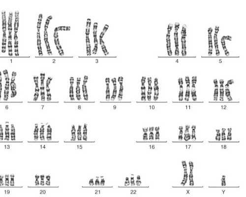 试管婴费用_试管总费用,[试管婴儿hcg]试管婴儿3代技术排名