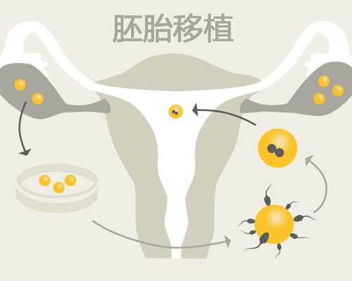 借卵试管价格_三代试管机构,北京我想给别人试管_正规试管中心