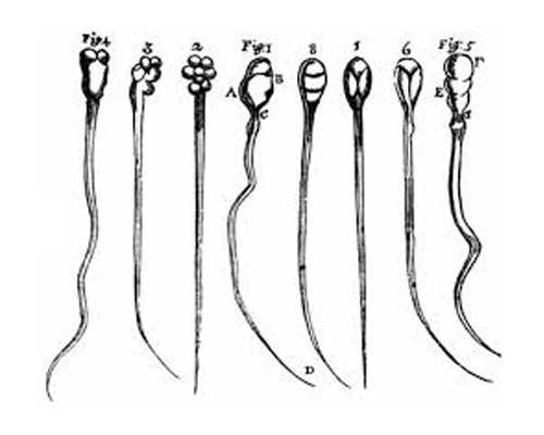 怀孕10天会有什么症状