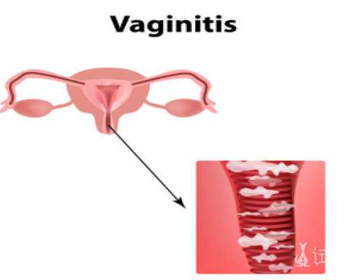 泰国试管费用_三代试管经历,北京三代试管供卵捐卵试管机构-试管婴儿成功率受