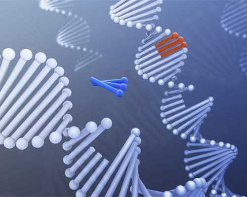 长沙供卵自怀套餐,长沙试管婴儿费用可以报销吗？湖南试管婴儿什么时候纳入