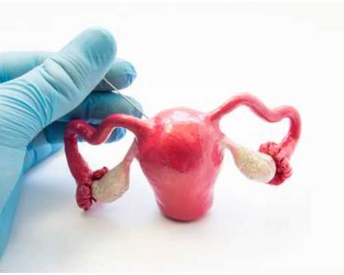 孕早期B超图的重要性与实施注意事项