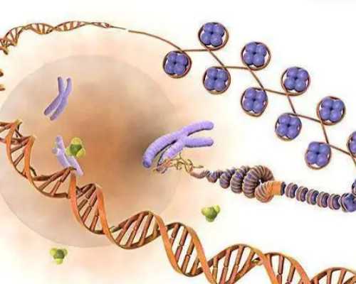 冻起来的胚胎都是好的吗