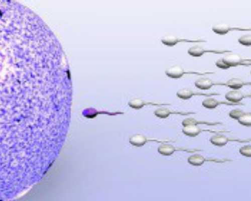 长沙助孕试管代怀,长沙供卵试管婴儿医院排名？附长沙供卵助孕机构名单？