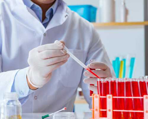 素描纸如何制作手抄报？