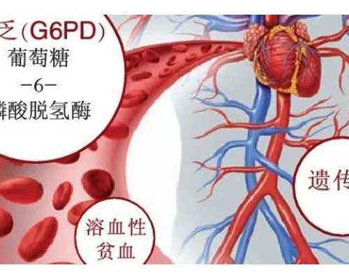 长沙代怀产子生殖助孕机构服务中心,常德供卵试管（长沙供卵助孕）