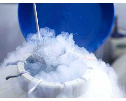 俄罗斯试管第三代比南京好吗,俄罗斯做试管哪家好