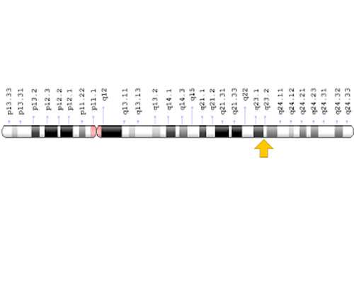 四岁小孩性格孤僻(4岁孩子性格孤僻)
