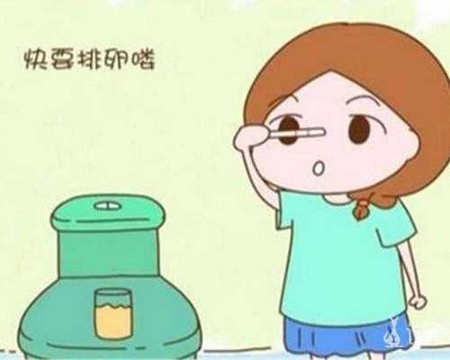 三代试管养囊_三代试管,试管男孩多少钱一次,一次试管大约多少钱