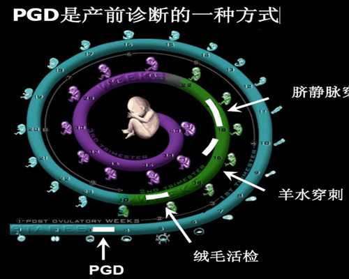 美国借卵试管_中国第三代试管,诸城试管医院(临海试管婴儿医院)