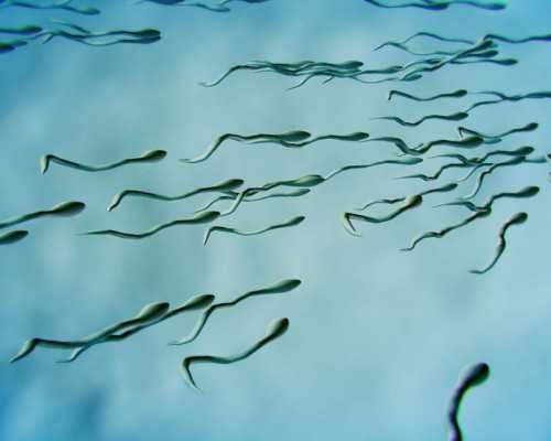 长沙试管几代的好,2023
长沙三代试管婴儿医院排名？哪家医院成功率高？-试管