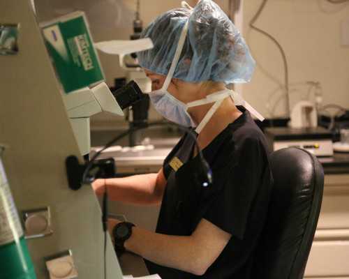 长沙供卵赠卵中心,我是女同，生宝宝的话可以用我和她的卵子和别人的精子做