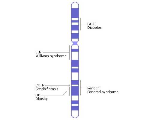 孕早期怎么辨别男女孩？孕早期辨别男女孩的方式哪个准？