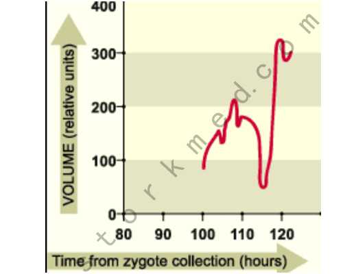 泰国三代试管_试管婴儿花费,北京我想给别人试管_正规试管中心