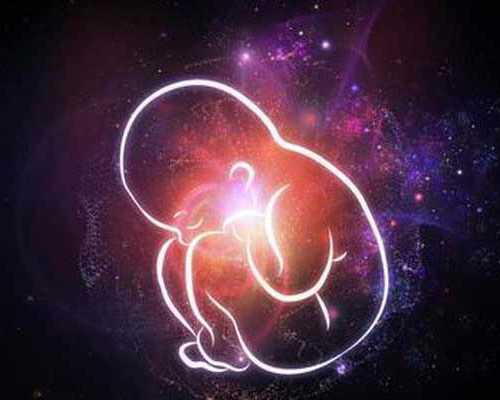 幼儿园行为习惯培养倡议书