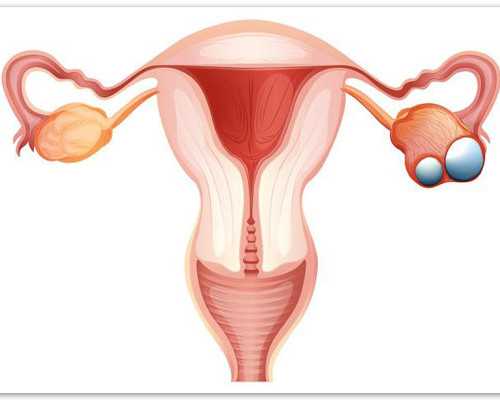 三代试管婴儿_南方试管捐卵,肇庆试管婴儿医院,试管婴儿那家医院最好