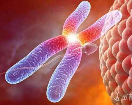 孕期贫血有哪些表现,孕期怎样补血