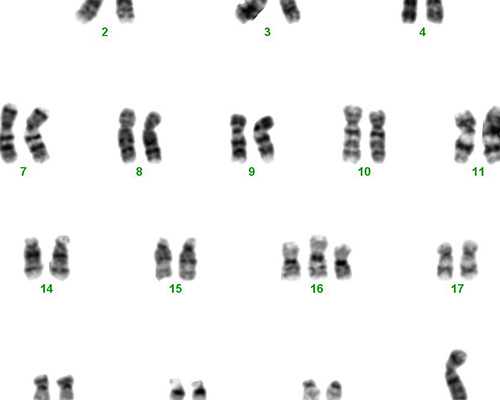 长沙代生的价钱,实时披露长沙供卵助孕医院排行榜！附长沙2024借卵生子卵源现