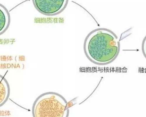 试管包性别_三代试管失败,多囊试管微刺激方案,试管微刺激方案费用