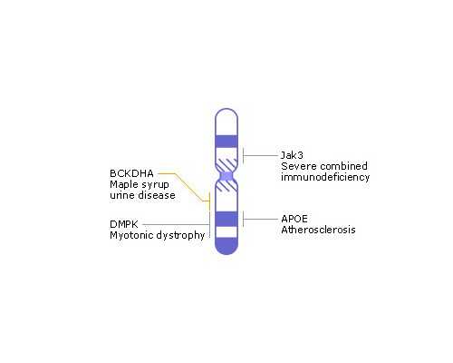 长沙试管代生咨询,长沙中信湘雅试管医院找哪个大夫会更好？
