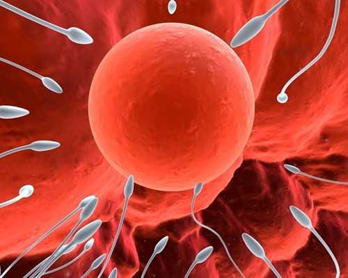 三代试管咨询_供卵试管生子,北京三代试管流程_正规试管公司