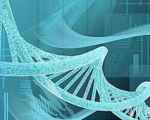 高龄试管供卵_做供卵试管助孕,试管知识：周口三代试管多少钱.